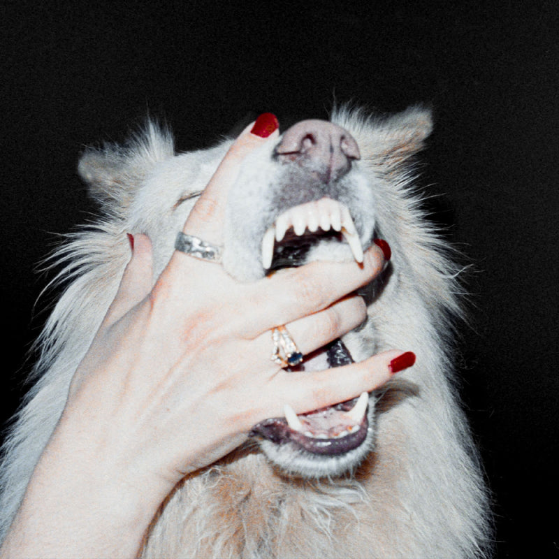 Porch Light - Hush *Pre-Order