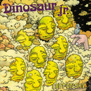 Dinosaur Jr. - I Bet On Sky *Pre-Order