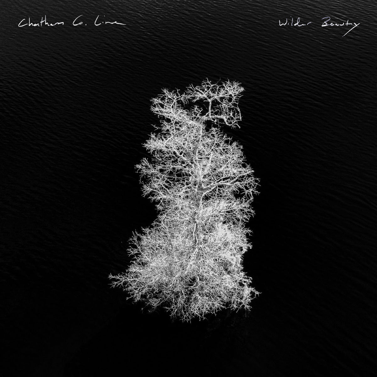 Chatham County Line - Wilder Beauty *Pre-Order