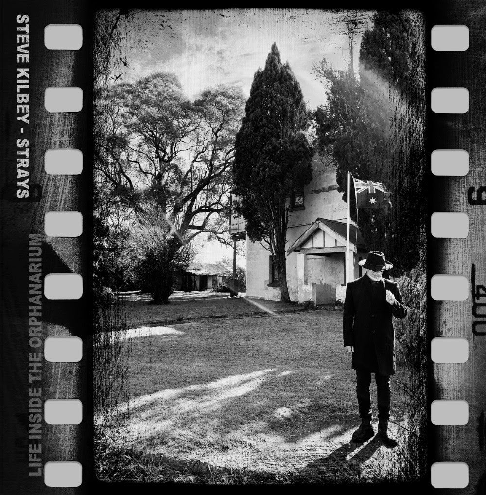 Steve Kilbey - Strays (Life Inside the Orphanarium) *Pre-Order