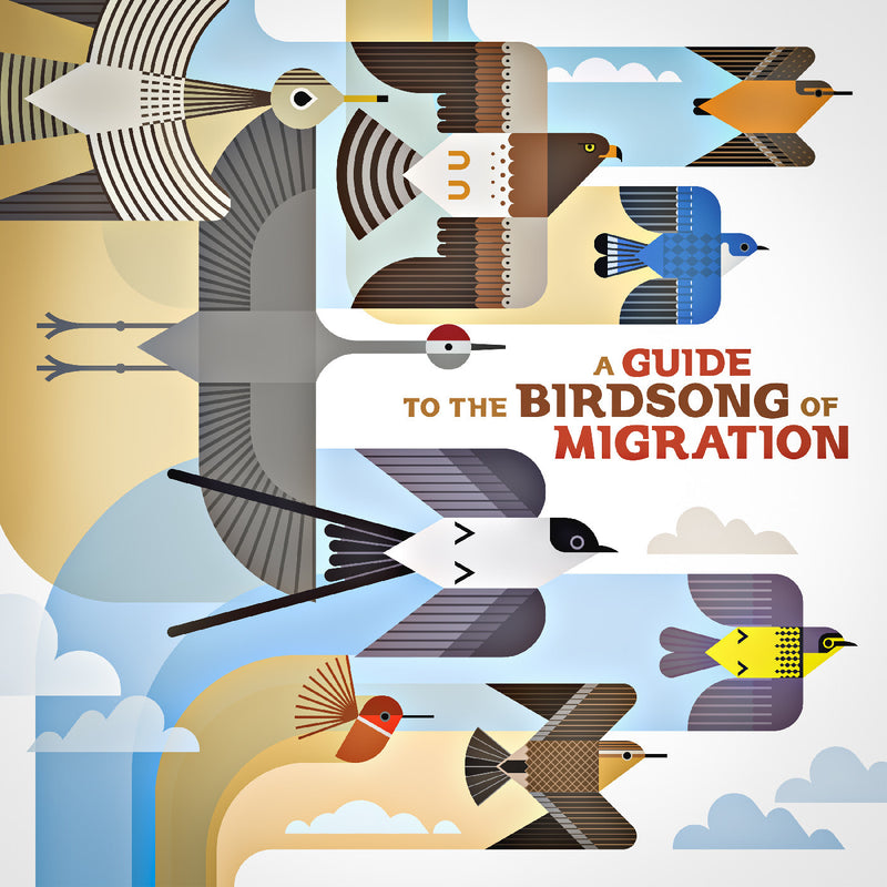 Various Artists - A Guide to the Birdsong of Migration *Pre-Order