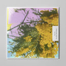 Four Tet - Into Dust (Still Falling) *Pre-Order