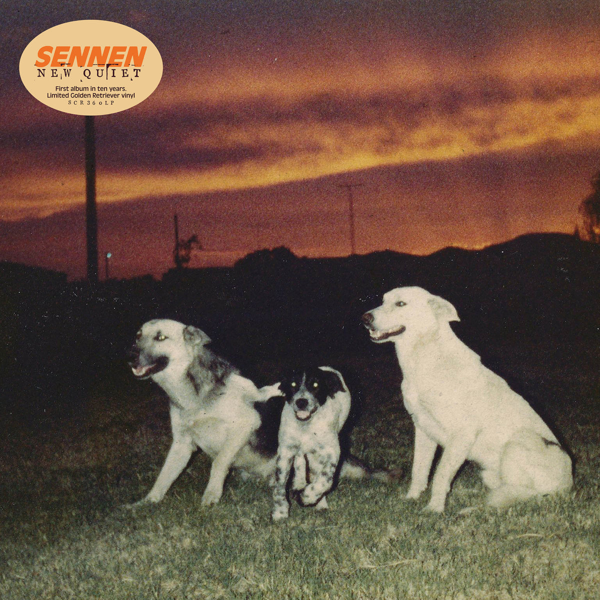 Sennen - New Quiet *Pre-Order