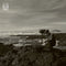 BJ Nilsen - True than Nature *Pre-Order