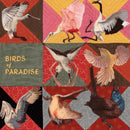Thomas Dollbaum - Birds of Paradise *Pre-Order
