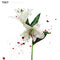 Cult, The - Hidden City (CV 45 Audiophile Edition) *Pre-Order