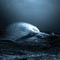Mark Molnar - EXO *Pre-Order