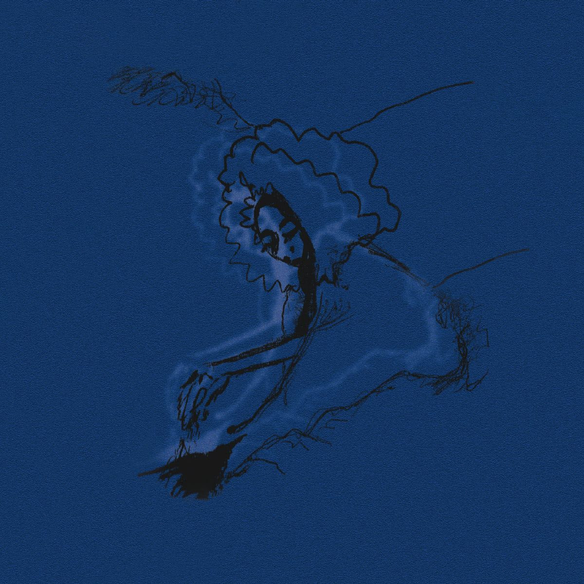 Polar Bear - Dim Lit