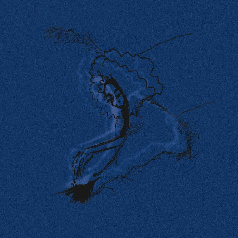 Polar Bear - Dim Lit