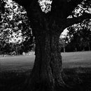 Archy Marshall - A New Place 2 Drown (Instrumentals) *Pre-Order