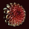Jessica Moss - Unfolding *Pre-Order
