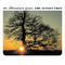 Mountain Goats (The) - The Sunset Tree (20th Anniversary Remaster) *Pre-Order