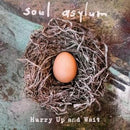 Soul Asylum – Hurry Up and Wait 2LP Limited RSD2020 OCT Drop
