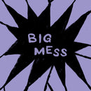 Public Body - Big Mess *Pre Order