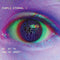 Purple Eternal - What Things Did You See? : Vinyl LP