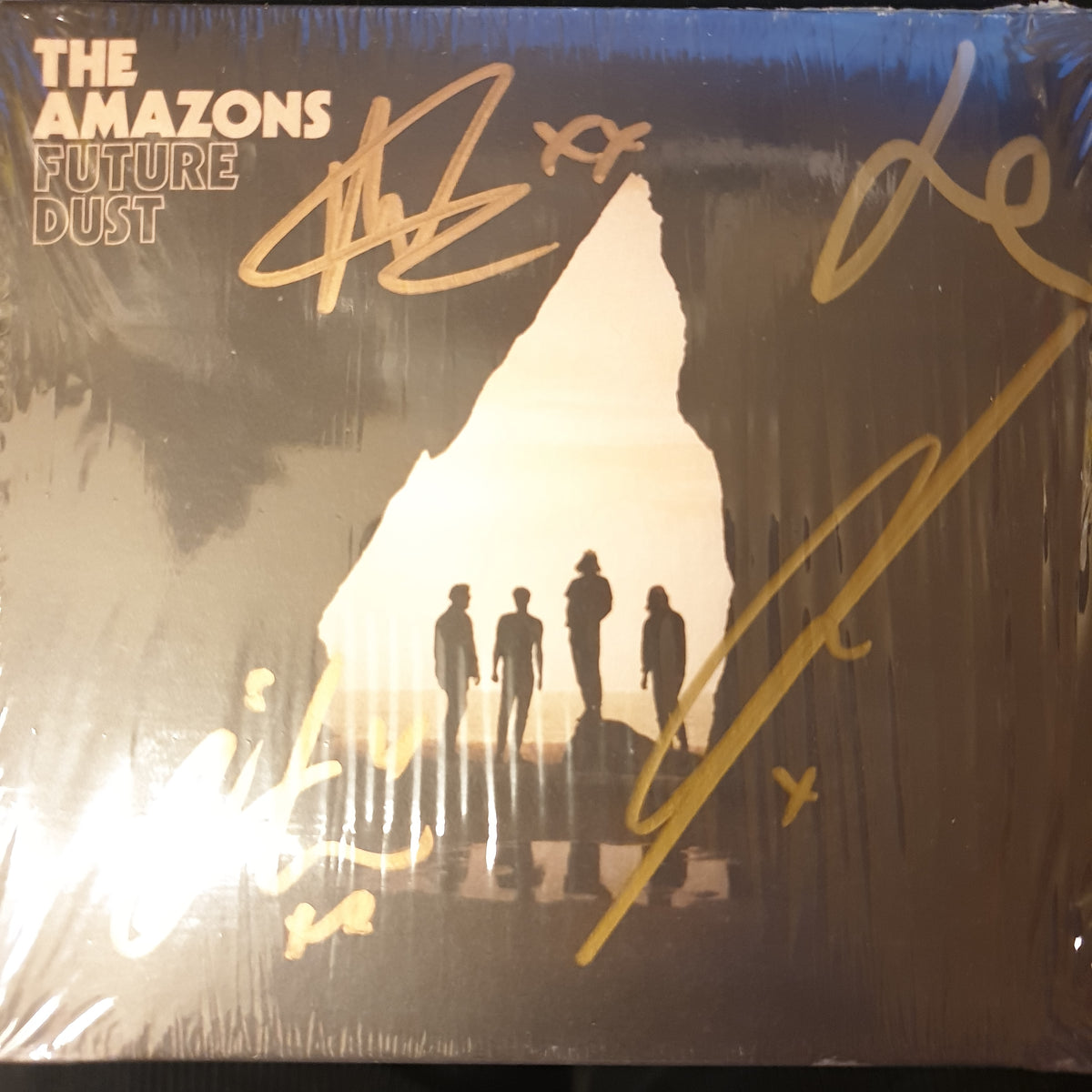 Amazons (The) - Future Dust