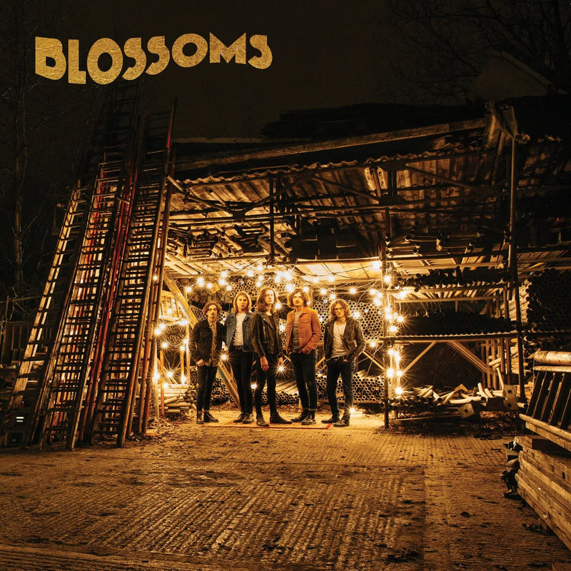 Blossoms - Blossoms: LIMITED NATIONAL ALBUM DAY 2022