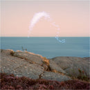 Cassandra Jenkins - An Overview On Phenomenal Nature: Exclusive Soft Pink Vinyl LP With Signed Postcard *DINKED EXCLUSIVE 090