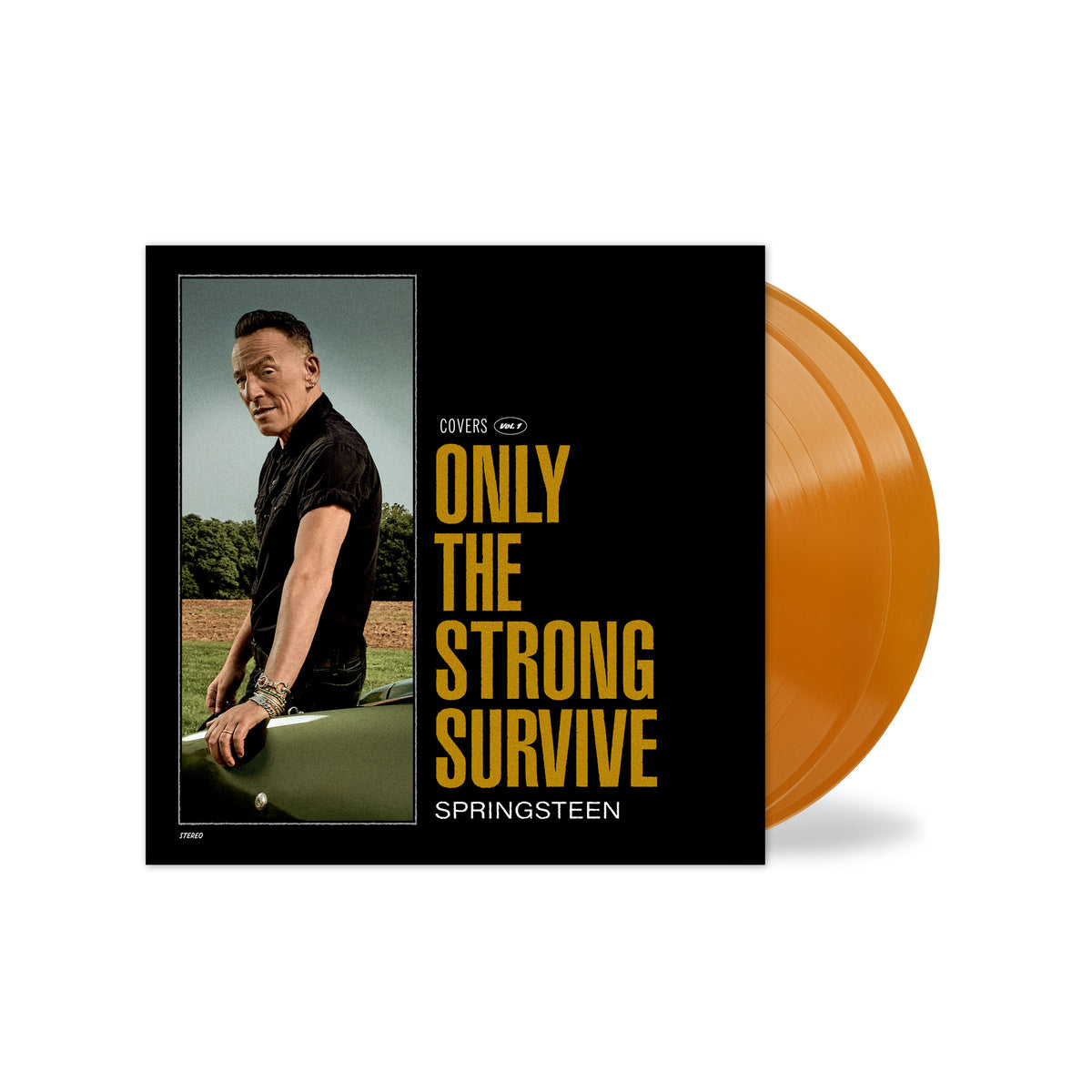 Bruce Springsteen - Only The Strong Survive