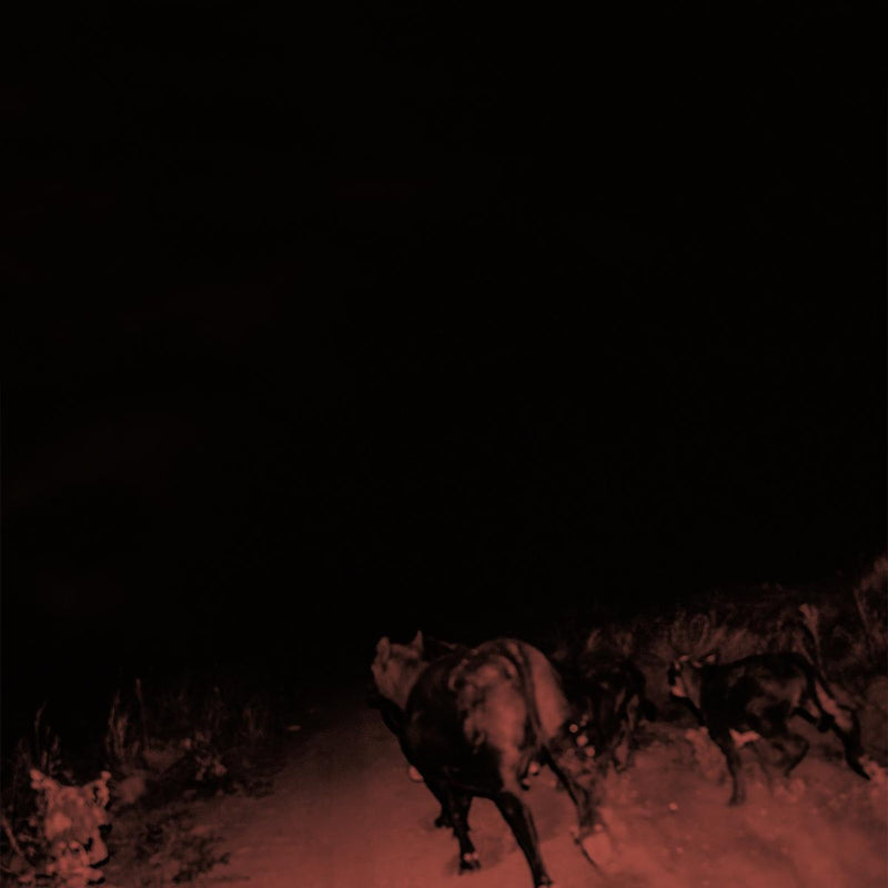 Bambara - Shadow Of Everything: Indies Exclusive "Sunbleached" White Vinyl LP