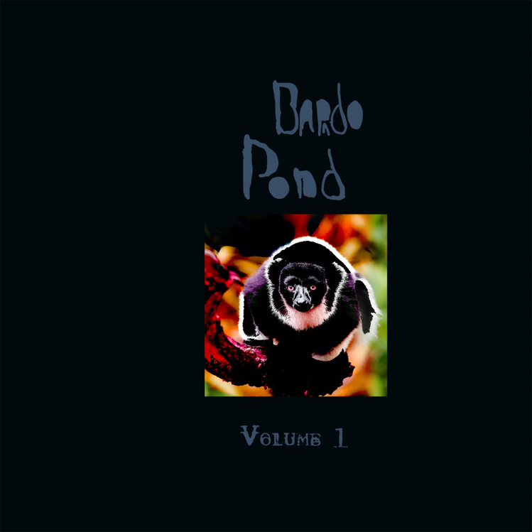 Bardo Pond - Volume 1: Vinyl LP Limited RSD 2021