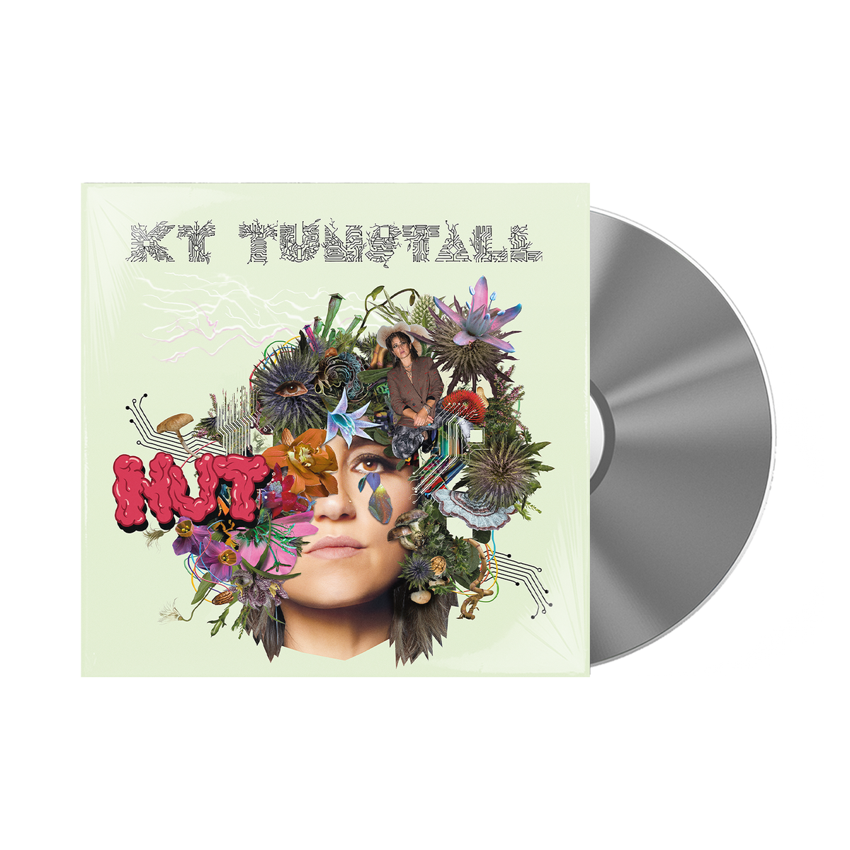 KT Tunstall - NUT