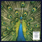 Bluetones (The) - Expecting To Fly - 25th Anniversary Edition
