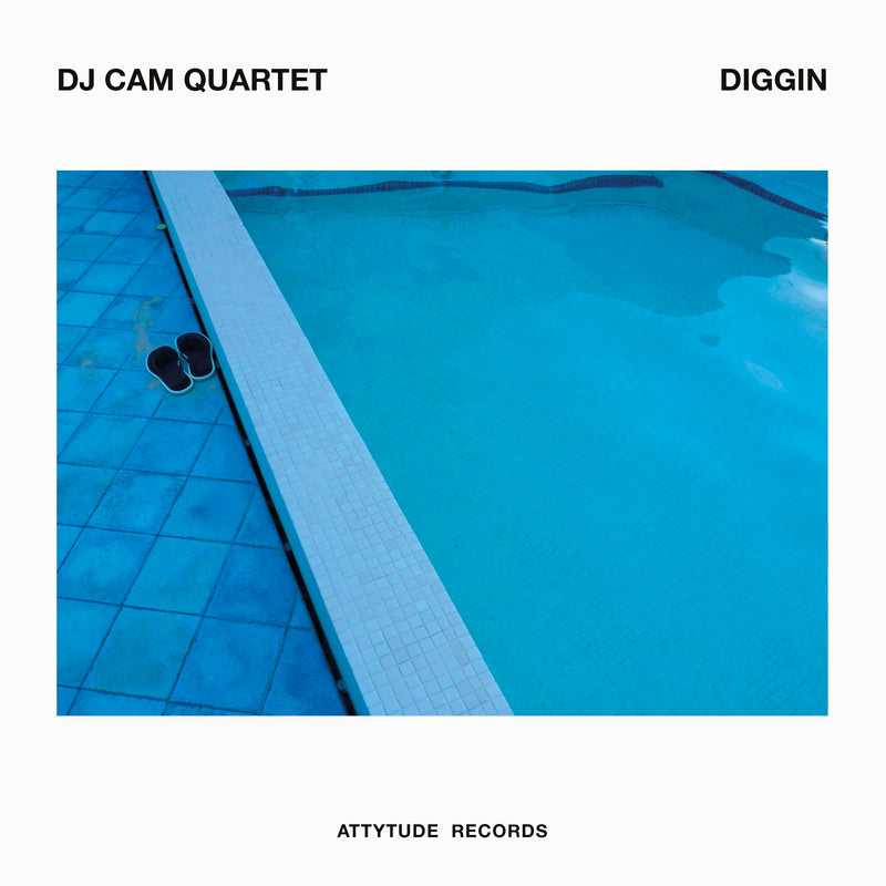 DJ Cam - Diggin - Limited RSD 2022