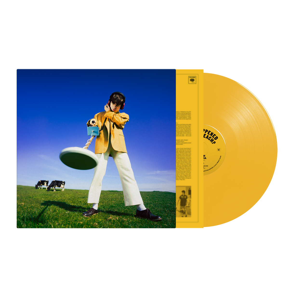 Declan McKenna - What Happened to the Beach