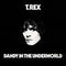 T. Rex - Dandy In The Underworld