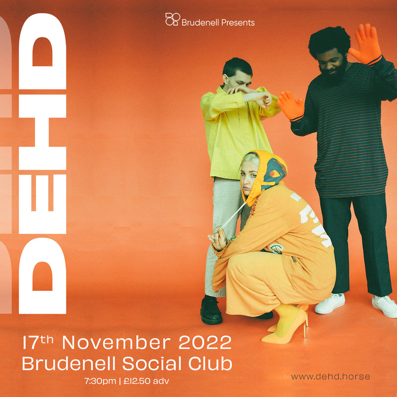 DEHD 17/11/22 @ Brudenell Social Club *CANCELLED*