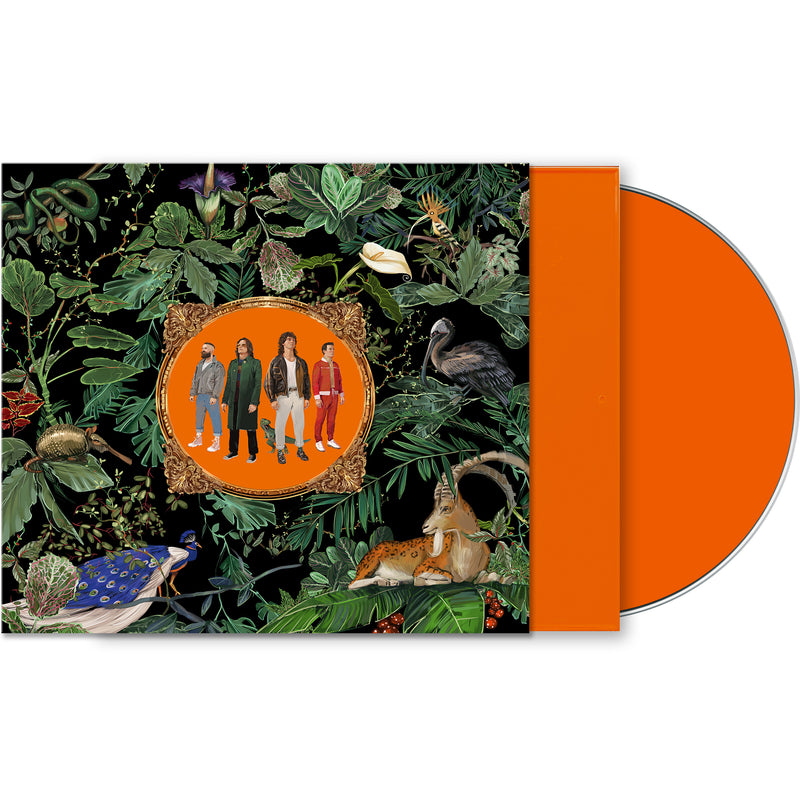 Don Broco - Amazing Things : Various Formats +  Ticket Bundle (Album launch Gig at The Key Club EARLY SHOW)