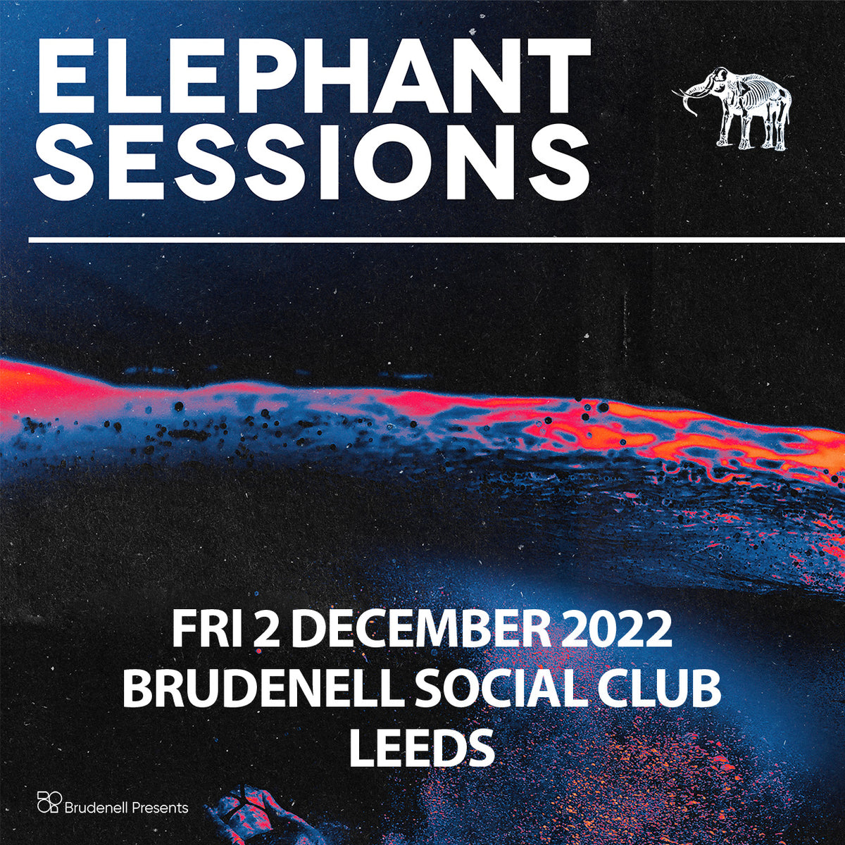 Elephant Sessions - 02/12/2022 @ Brudenell Social Club
