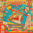 Flamingods - Levitation Glitter Gold Vinyl + Signed Print Very Limited LP *DINKED EXCLUSIVE 008