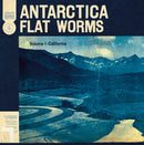 Flat Worms - Antarctica:
