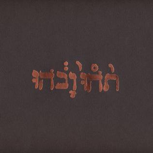 Godspeed You! Black Emperor - Slow Riot For New Zero Kanada E.P.