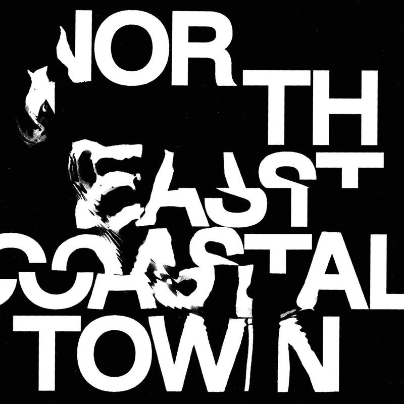 Life - North East Coastal Town