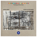 David Gray / Stick In The Wheel - The Endless Coloured Ways: The Songs of Nick Drake