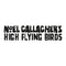 Noel Gallagher's High Flying Birds - Back The Way We Came: Vol. 1 (2011 - 2021): Double Vinyl LP Limited RSD 2021