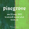 Pinegrove 11/05/22 @ Brudenell Social Club