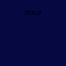 Pole - 1: Limited Edition Blue Vinyl 2LP LRS2020