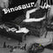 Dinosaur Jr. – Beyond