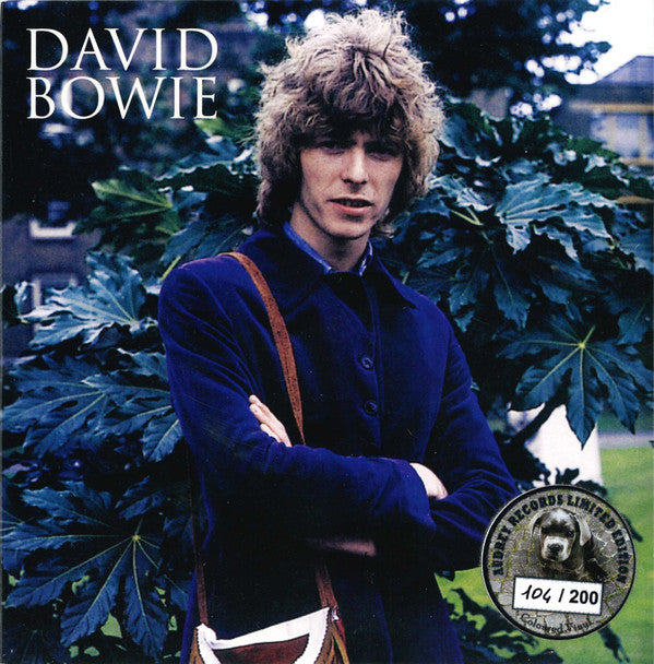 David Bowie - An Occasional Dream: Super Limited Marble 7"