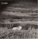 Crake - Enough Salt For All Dogs: 7" Single