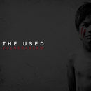 Used (The) - Vulnerable