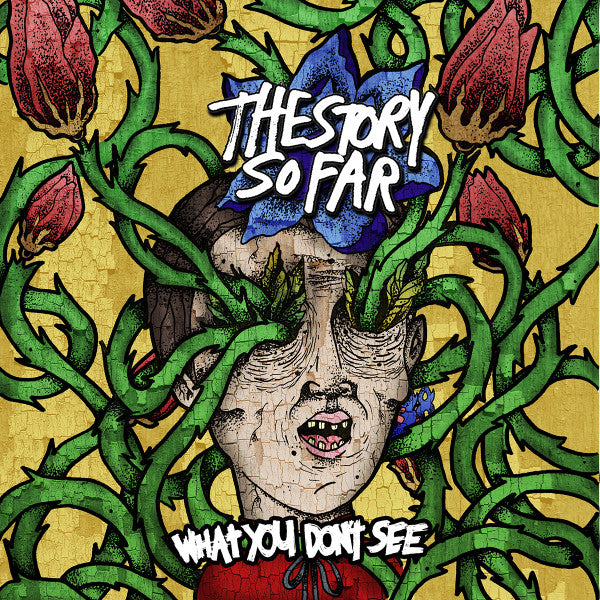 Story So Far (The) - What You Don't See