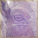 Young And Heartless – Stay Away