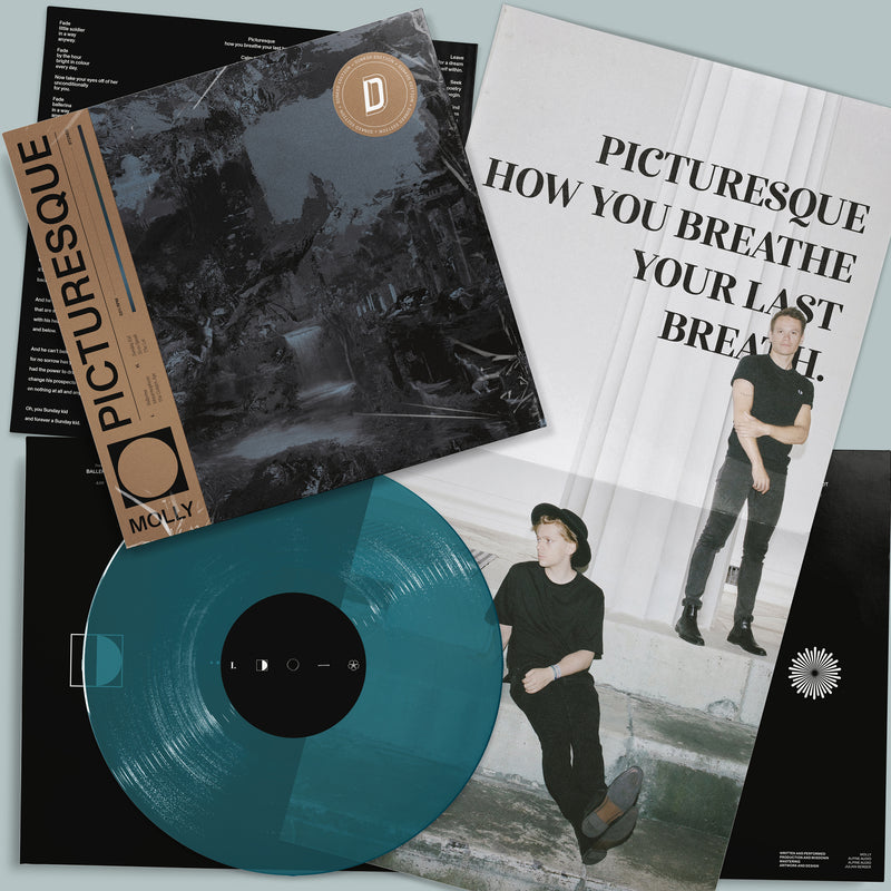 MOLLY - Picturesque: Midnight Blue Vinyl + Exclusive Metallic Blue Artwork DINKED EDITION EXCLUSIVE 228