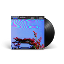 Friendly Fires - Inflorescent: Vinyl LP: Various Formats