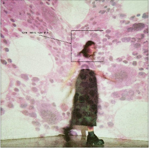 Soccer Mommy - Sometimes, Forever - Instore & Signing